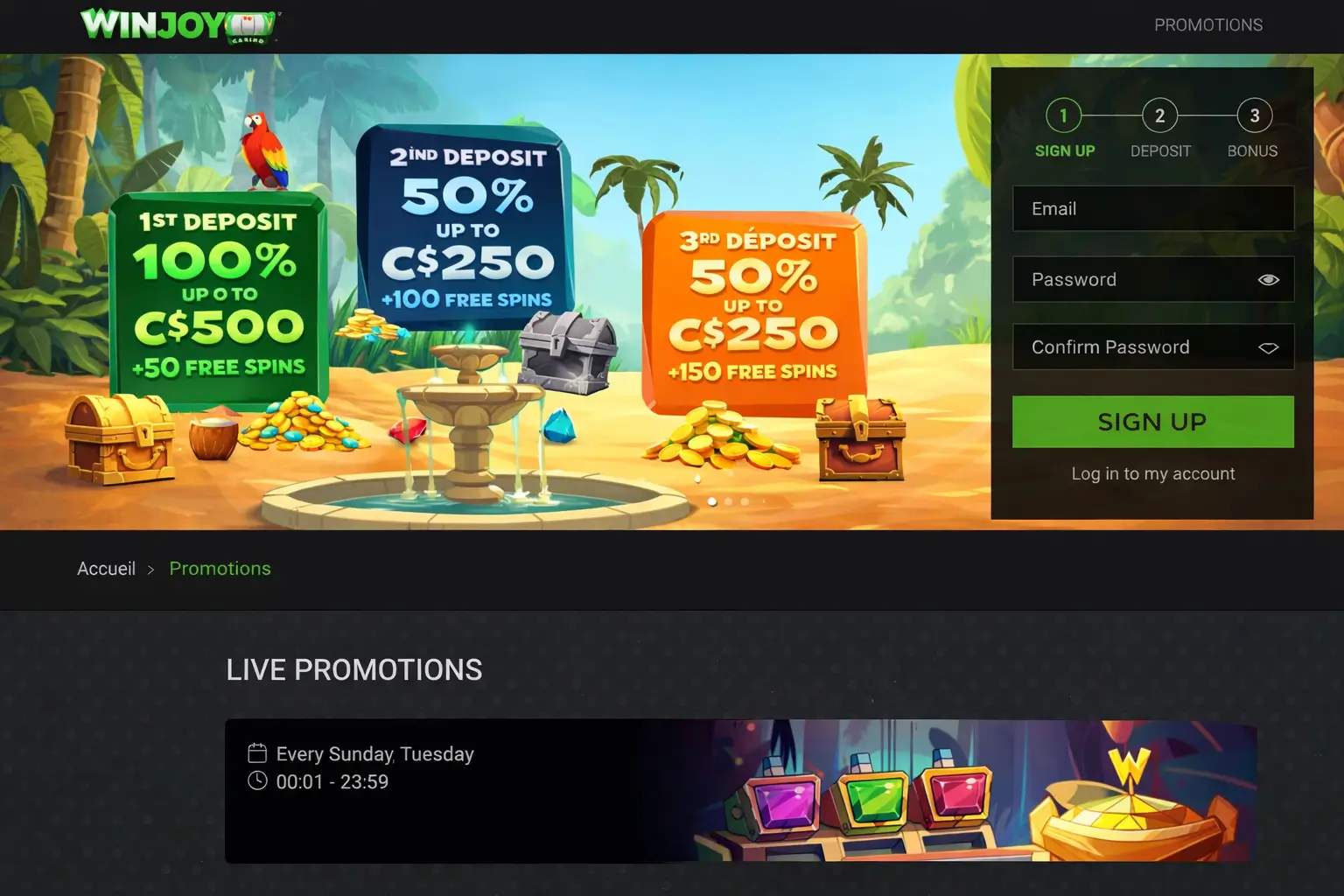 Weekly Promotions and VIP Program at WinOui Casino